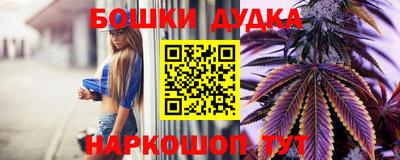 ешки Будённовск