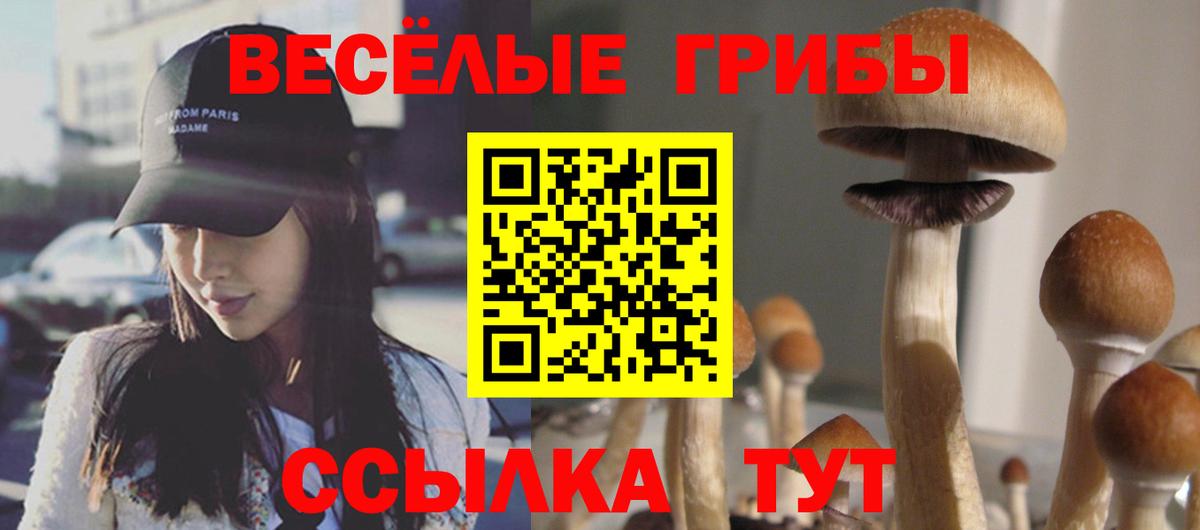 даркнет сайт  Вход с VPN  Люберцы  Псилоцибиновые грибы Magic Shrooms 